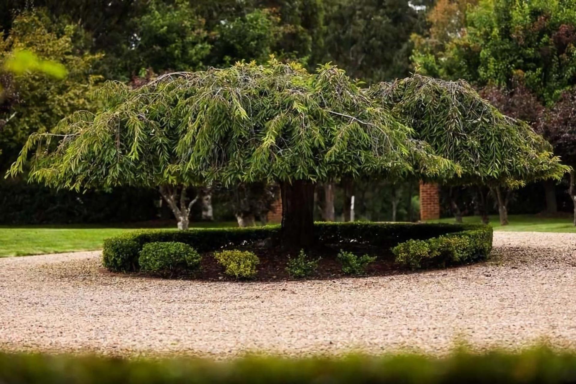 Avonlea, Bowral, Southern Highlands Экстерьер фото